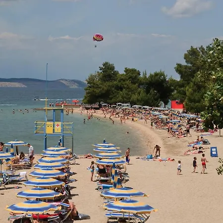 Zita With Terrace 公寓